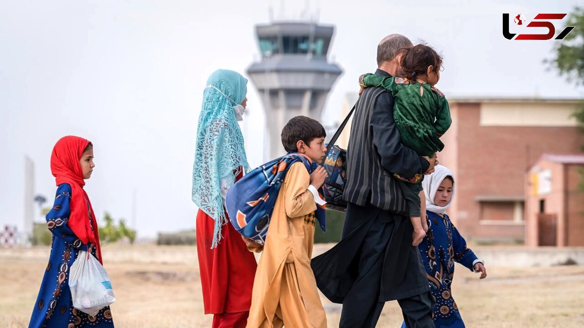 حرکت حلزونی و خطرناک ساماندهی اتباع غیرمجاز در ایران