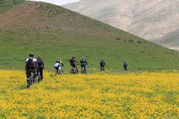 در ادامه تهران گردی، دیدن دشت لار به شما توصیه می شود. تنوع گیاهی و جانوری زیادی که دراین دشت وجود دارد، این دشت را به یک منطقه حفاظت شده و پارک ملی تبدیل کرده است که در دامنه های قله دماوند واقع شده است و درواقع از جاذبه های گردشگری تهران محسوب می شود. دشت لار در زمان های گذشته، پاتوق پادشاهان برای  پناه بردن از گرمای تابستان بوده است، ولی اکنون دیگر همه مردم می توانند به آنجا مسافرت کنند. این دشت، بسیار زیبا و خوش آب و هوا می باشد که در کوهپایه دماوند و در نزدیکی آمل قرار گرفته است. فاصله دشت لار با تهران، 75 کیلومتر می باشد. این دشت پر است از گون و آویشن، کاسنی و شیرین بیان و پر است از تنوع گیاهی بی نظیر و فراوانی که به این دشت، زیبایی حیرت انگیزی بخشیده است. تنوع جانوران این دشت نیز همانند تنوع گیاهانش بی نظیر است. گرگ، روباه، پلنگ، افعی، عقاب طلایی، افعی البرزی، بزمجه، مارمولک، خرس قهوه ای، گراز، کل و بز کوهی، قوچ و میش و آهو، همه و همه را در این جا می توان دید .گل های زرد و شقایق ها، بهار این دشت را پر از زیبایی و نشاط می کنند، گویی که تابلویی بی نظیر از طبیعت را  به نظاره نشسته ای. اطراف چشمه دوبرار را نیز که در این دشت واقع شده، می توان قشنگ ترین و بکر ترین جای این منطقه دانست. نکته ای که وجود دارد، این است که قبل از 15 خرداد، محیط بانی این منطقه، به شما اجازه ورود با خودرو را نمی دهد، چون که فصل زاد و ولد حیوانات می باشد. مسیراول برای رفتن به این دشت، از تهران به روستای ایرا می باشد. برای رفتن به این روستا از لواسان خارج شده و از برگ جهان و نیکنام ده عبور کرده و یا از مسیر جاجرود و گذشتن از کنار سد لتیان از نیکنام ده عبور کنید و با انشعاب از روستای کلان به آن جا برسید. برای گذشتن از مسیر دوم هم می توانید از جاده آبعلی و داخل شهر پلور به دشت لار بروید. این مسیر از سه راهی پلور تا پست ورودی  محیط بانی دلیچای  که در ورودی شرقی پارک ملی لار قرار دارد، می گذرد